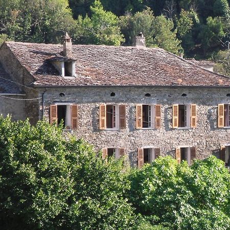 Chambre D'Hotes La Marlotte Castello-di-Rostino Ngoại thất bức ảnh