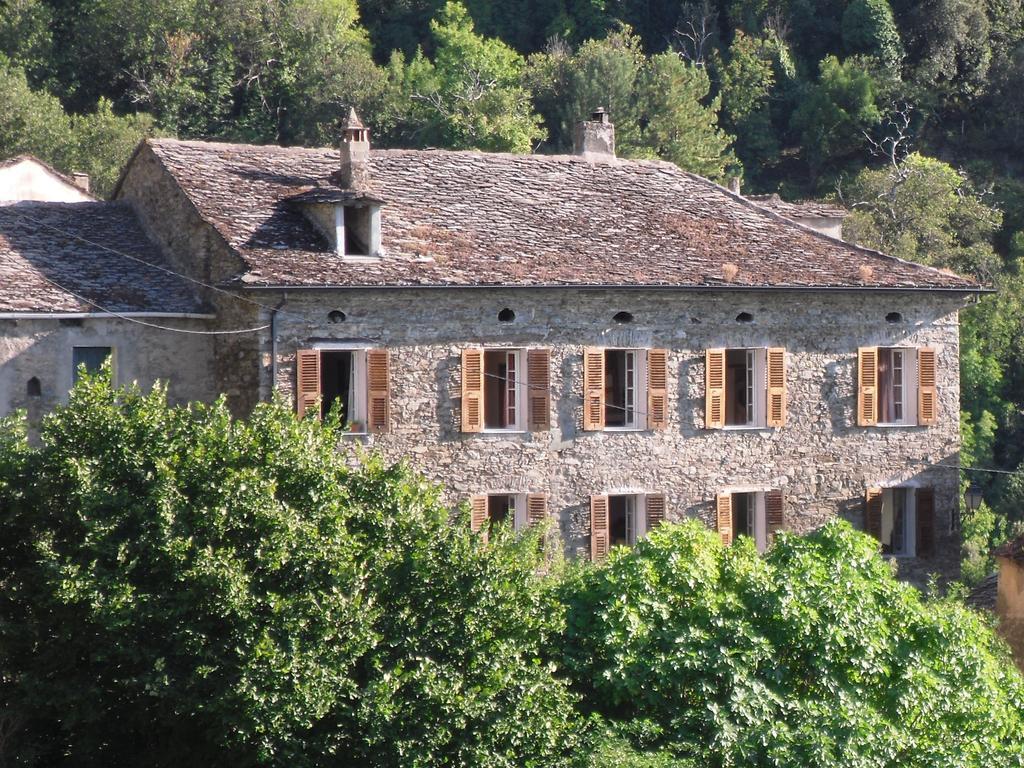 Chambre D'Hotes La Marlotte Castello-di-Rostino Ngoại thất bức ảnh